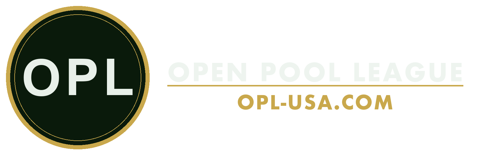 Official OPL Billiards Glove